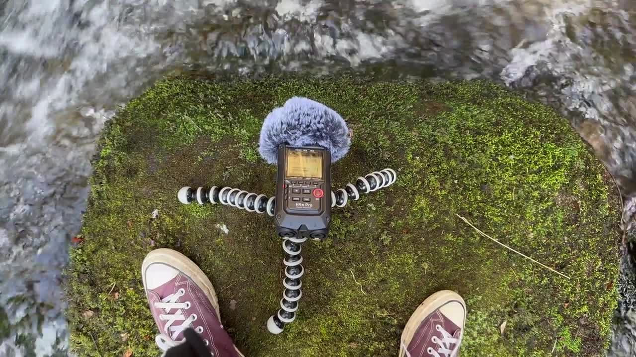 Two feet are standing in the middle of a mossy stone in the middle of a small river. A sound recording device is planted in between the feet. The camera then pans around showing the forest environment and the perhaps precarious situation of the person filming